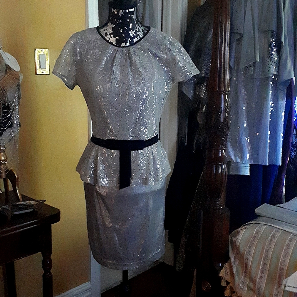 Silver Top - Picture 2 of 9
